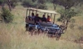 Sun City Pilanesberg Tour