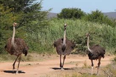Tourism Services South Africa