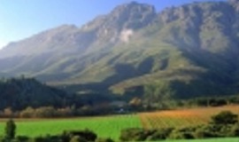 Winelands Day Tour